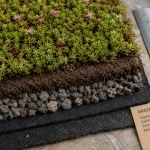Toiture végétalisée sedum : couches étanchéité, drainage et substrat