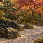 Plante japonaise : érable japonais dans un jardin zen